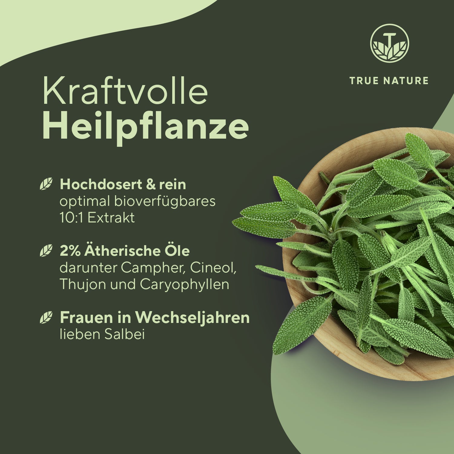 Salbei Extrakt Kapseln Vitamine & Nahrungsergänzungsmittel True Nature   