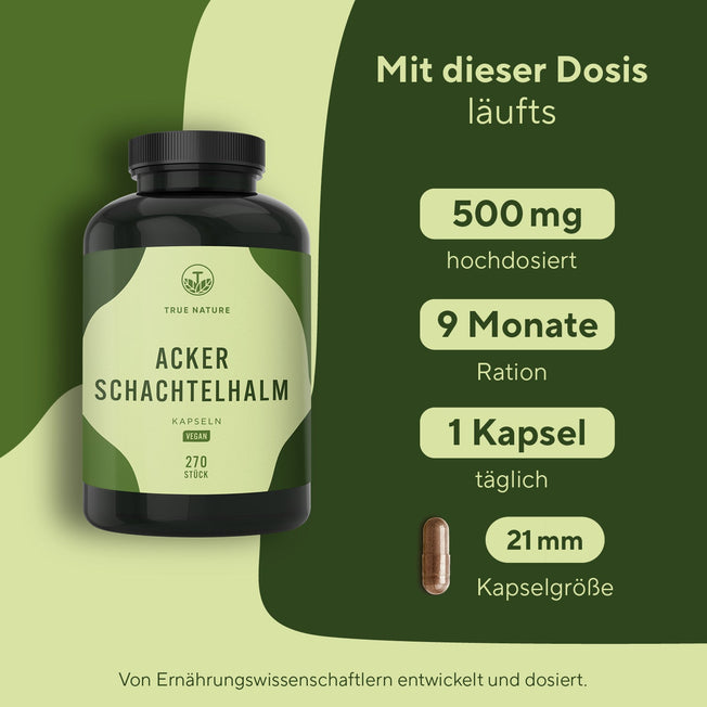 Ackerschachtelhalm Vitamine & Nahrungsergänzungsmittel True Nature
