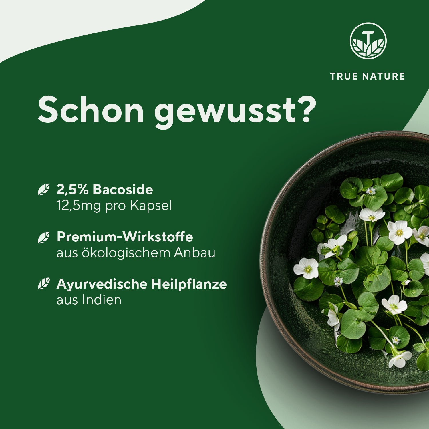Bio Brahmi Kapseln Vitamine & Nahrungsergänzungsmittel True Nature