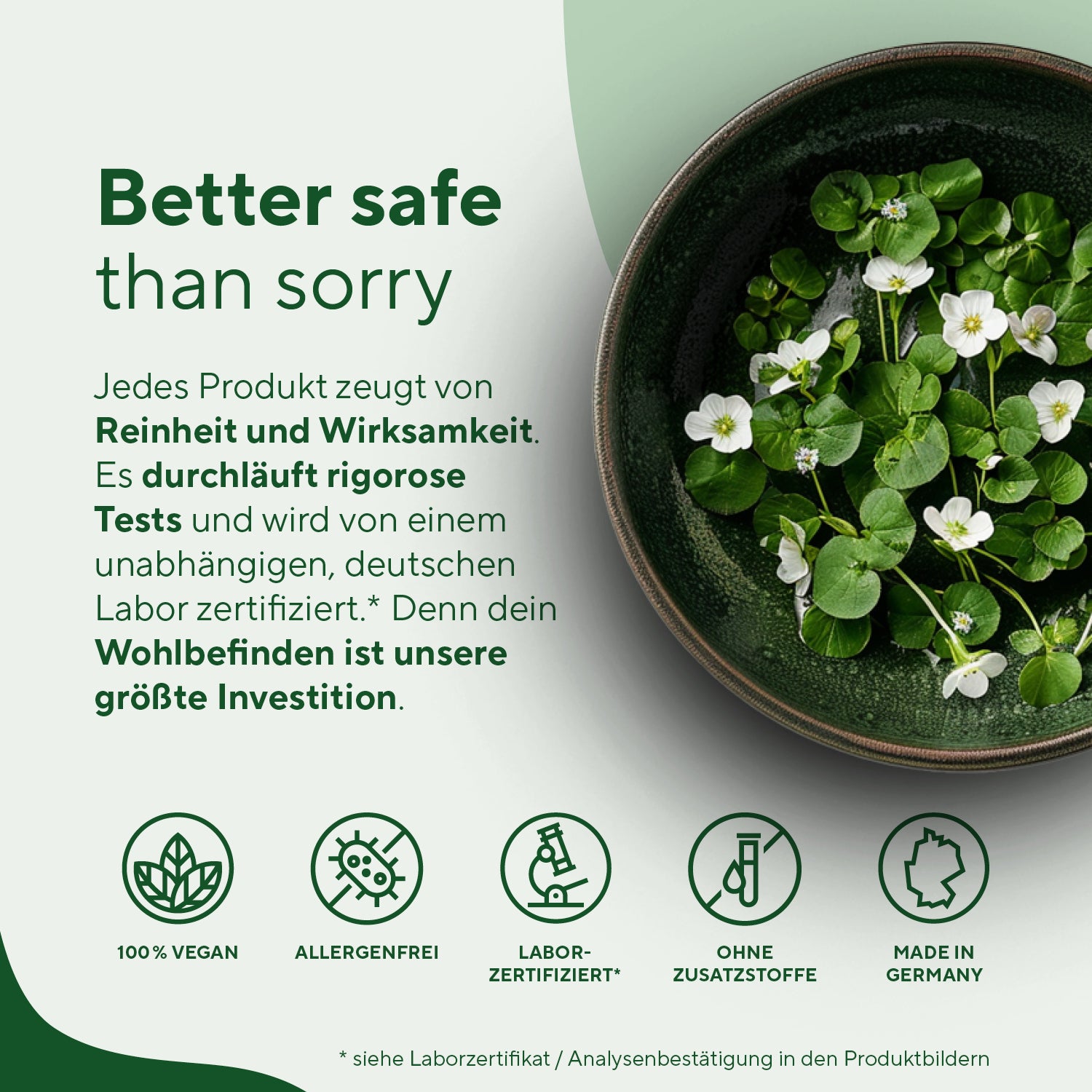 Bio Brahmi Kapseln Vitamine & Nahrungsergänzungsmittel True Nature