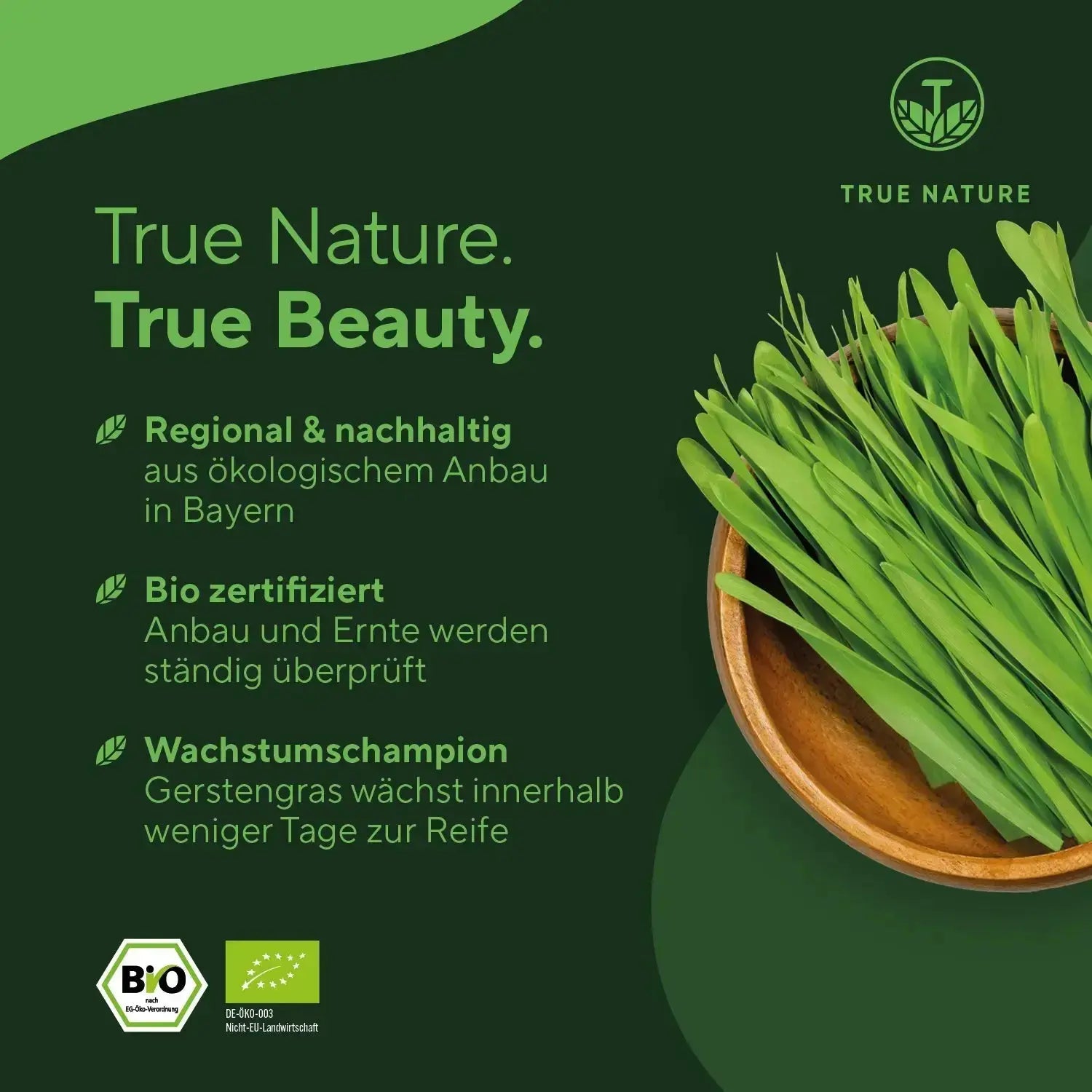 Superfood-Bundle True Nature