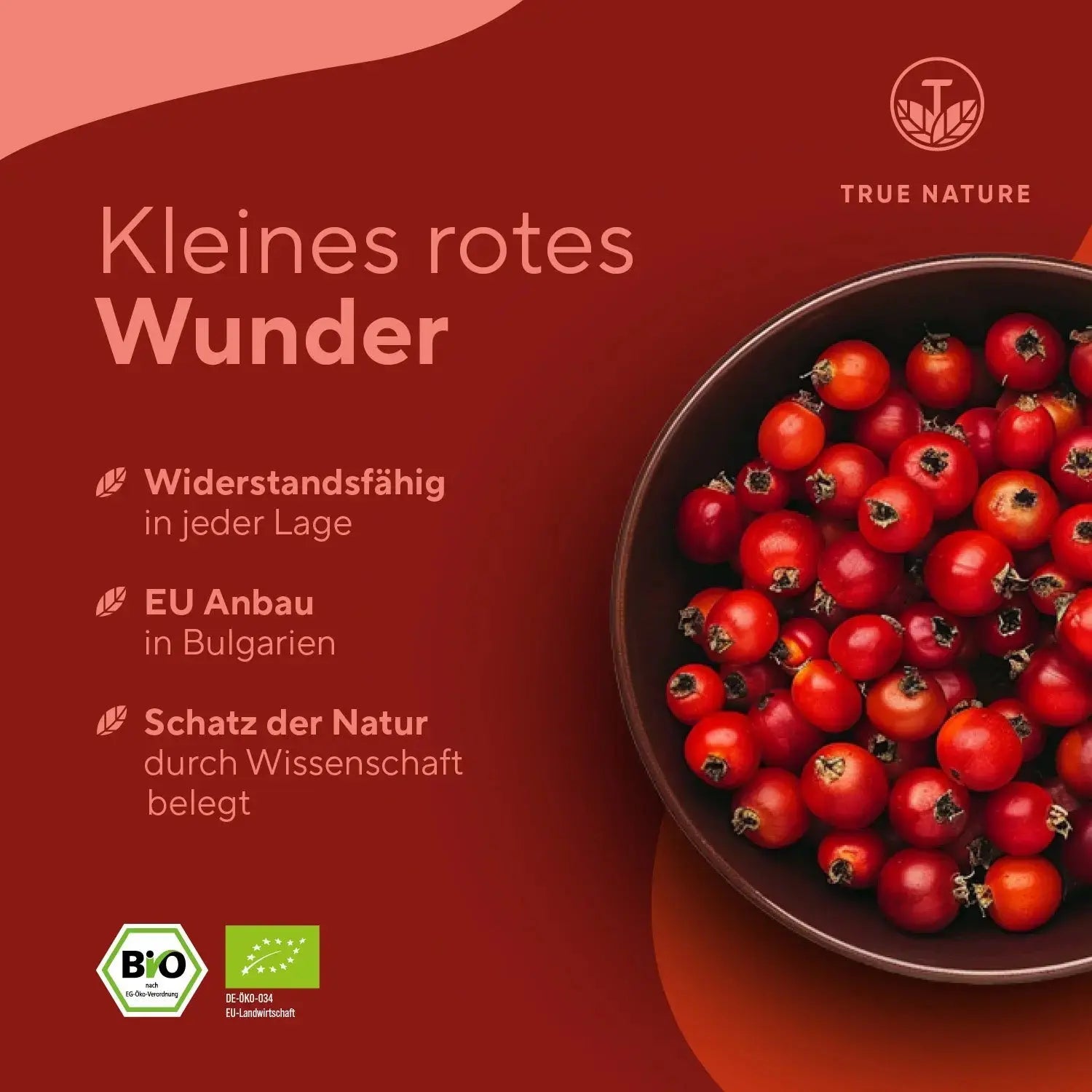 Bio Hagebutten hochdosierte Kapseln Vitamine & Nahrungsergänzungsmittel True Nature