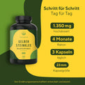 Steinklee Kapseln Vitamine & Nahrungsergänzungsmittel True Nature