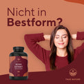 Reishi Pilz Extrakt hochdosierte Kapseln Gesundheit > Vitamine & Nahrungsergänzungsmittel > Pflanzliche Nahrungsergänzungsmittel > Vitalpilze > Polysaccharidreiche Pilzprodukte > Reishi Pilz Extrakt True Nature