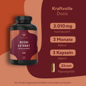 Reishi Pilz Extrakt hochdosierte Kapseln Gesundheit > Vitamine & Nahrungsergänzungsmittel > Pflanzliche Nahrungsergänzungsmittel > Vitalpilze > Polysaccharidreiche Pilzprodukte > Reishi Pilz Extrakt True Nature