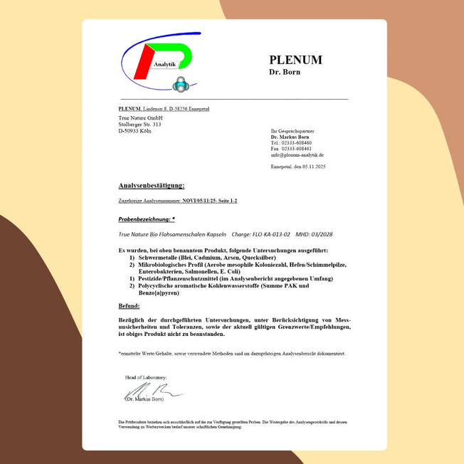 Flohsamenschalen Bio Kapseln Vitamine & Nahrungsergänzungsmittel True Nature