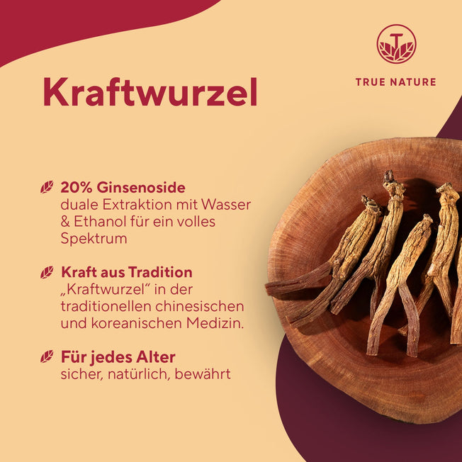 Roter Panax Ginseng Extrakt Kapseln Vitamine & Nahrungsergänzungsmittel True Nature
