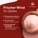 MGCPQQ® Kapseln Gesundheit & Schönheit > Gesundheitsversorgung > Nahrungsergänzungsmittel True Nature