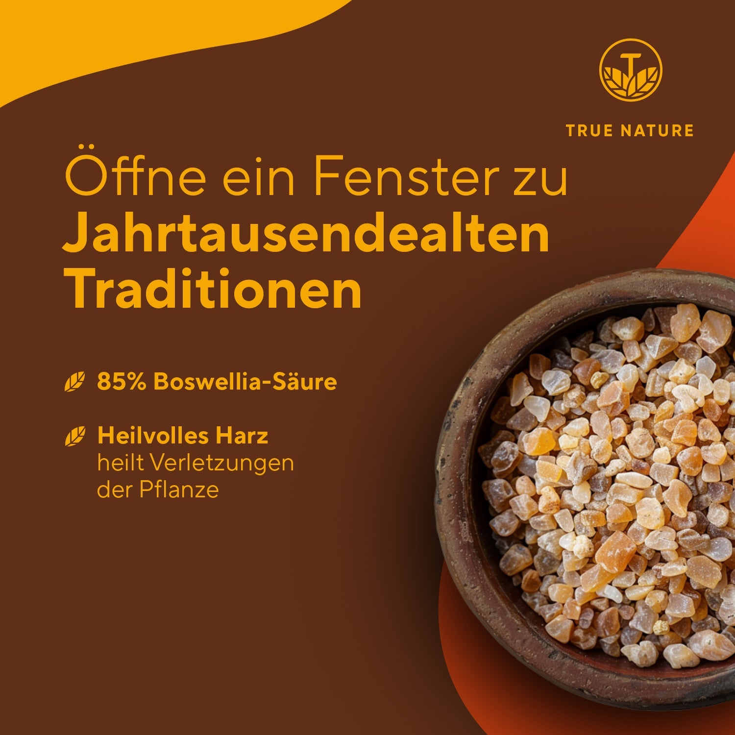 Weihrauch Extrakt Kapseln True Nature