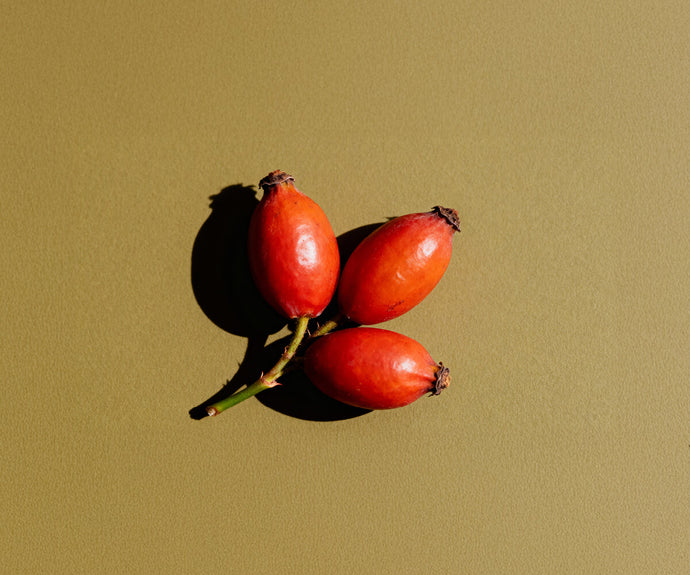 Hagebuttenfruchtextrakt (Vitamin C)